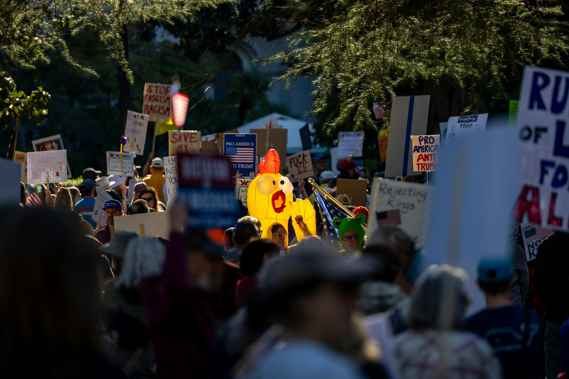 A vibrant protest scene capturing various signs and symbols in downtown Sacramento.