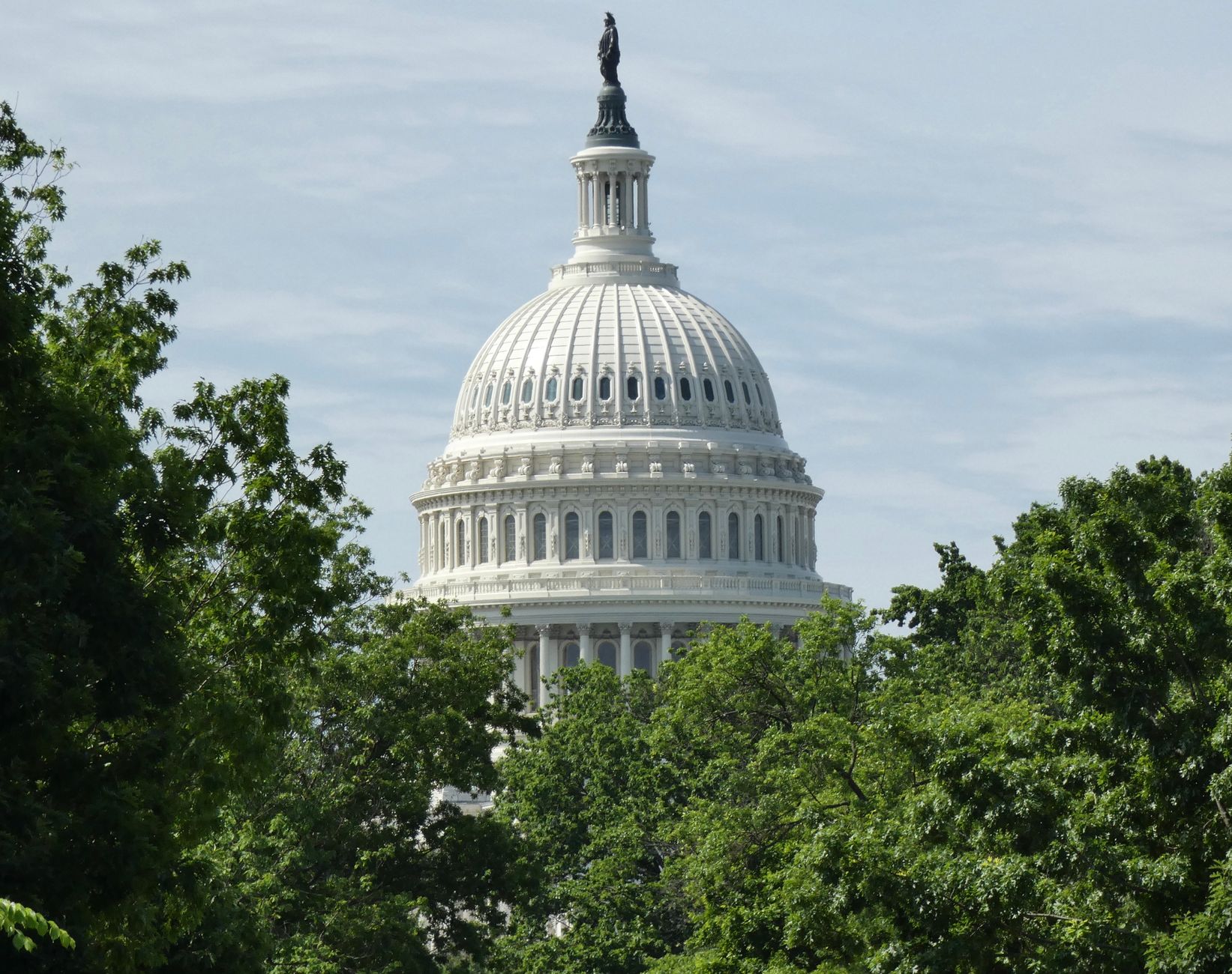 Congress Senate satire image: Dome of the United States Capitol in Washington, DC, framed by lush green trees.