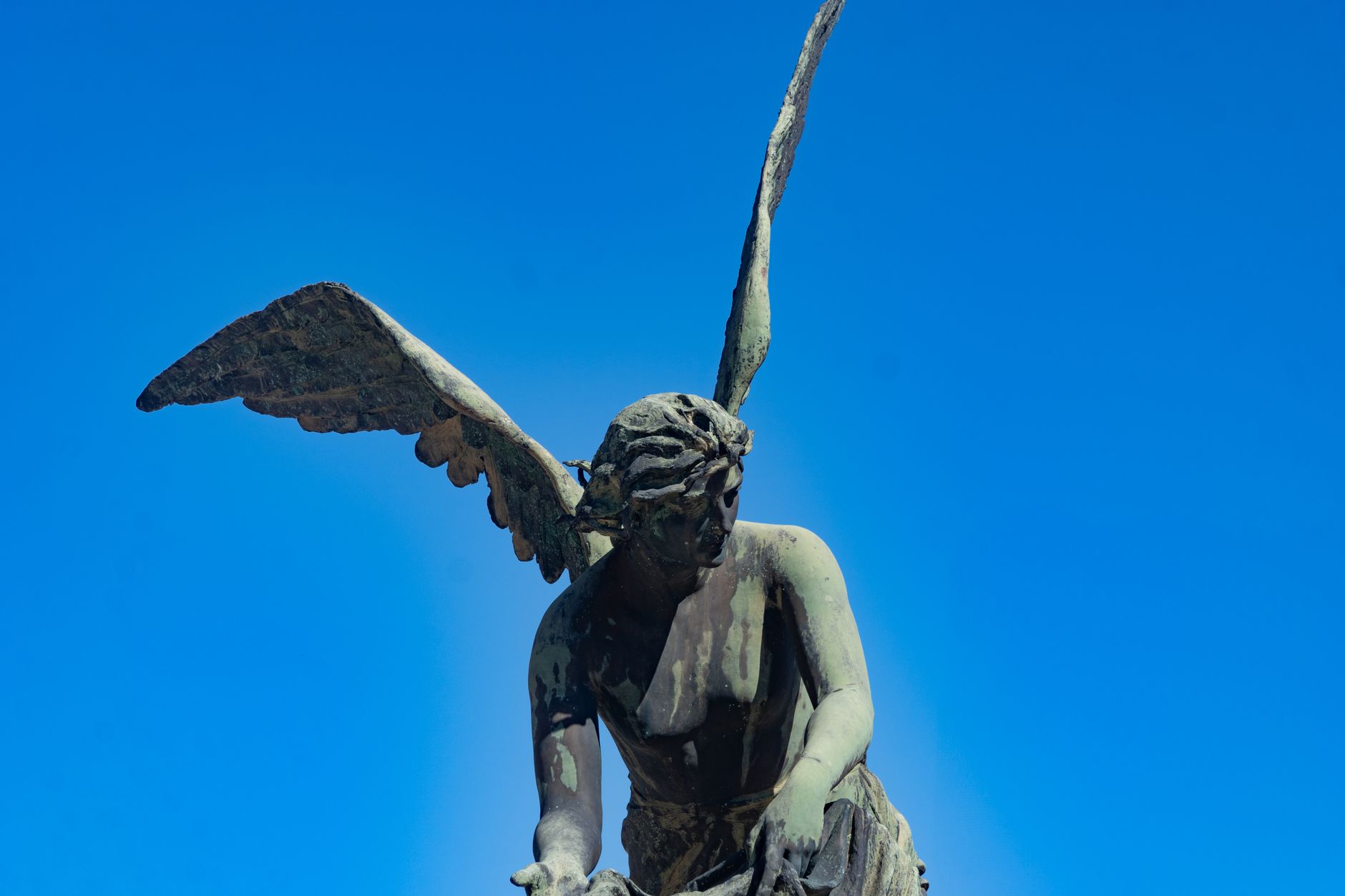 satire-image-84 Trump Proposes satire image: Close-up of a bronze angel statue with detailed wings against a vivid blue sky, symbolizing faith and art.